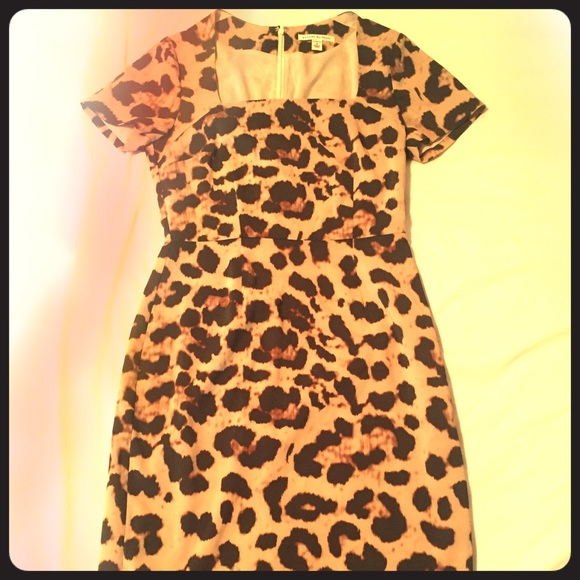 Cheeky cheetah - Picture 1 of 2